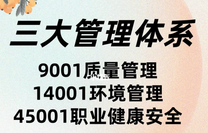 辦理ISO三體系認(rèn)證費用得多少票子?