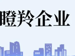 佛山瞪羚企業(yè)認(rèn)定條件、扶持政策最高補貼100萬