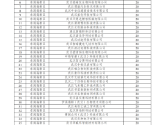 武漢市2024年首次進(jìn)入規(guī)模以上工業(yè)企業(yè)獎勵資金預(yù)安排情況的公示
